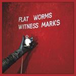 Flat Worms - Witness Marks