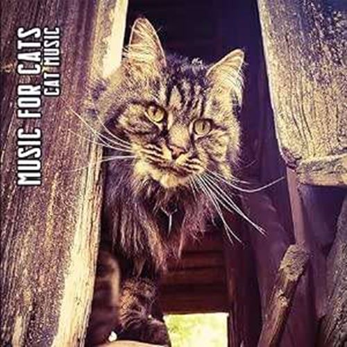 Music For Cats - Cat Music: Ltd Digi