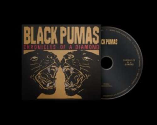 Black Pumas - Chronicles Of A Diamond