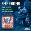 Picture of Applied Nutrition Beef-XP Clear Protein - 1.8kg Blue Raspberry (Dairy Free)