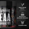 Picture of Warrior EAA - Strawberry Kiwi 360g