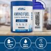 Picture of Applied Nutrition Amino Fuel EAA - Icy Blue Raz 390g