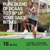 Picture of Optimum Nutrition - BCAA 1000MG Capsules: 400 Caps