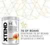 Picture of XTEND Original BCAA Powder - Mango Madness 441g