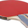 Picture of Joola Table Tennis Bat - Team School