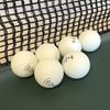 Picture of Sure Shot Table Tennis Balls - 1* 6 Pack