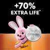 Picture of Duracell - CR2032 Lithium (2 Pack) Battery