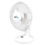 Lloytron Desk Fan - Staycool F1003WH: 9" White