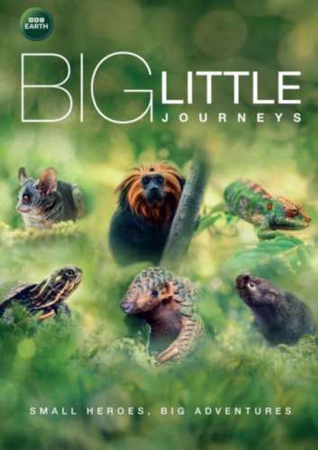 Big Little Journeys - Aaron Pierre