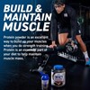 Picture of Applied Nutrition Critical Whey - 2kg Blueberry Muffin