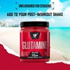Picture of BSN - Glutamine DNA 309g