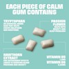 Picture of Blockhead - Calm Gum 12 x 7 Pieces Spearmint