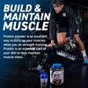 Picture of Applied Nutrition Critical Whey - 2kg Vanilla Ice Cream