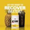 Picture of EHP Labs Beyond BCAA EAA - 462g Fijian Pineapple
