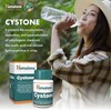 Picture of Himalaya - Cystone 100 Tabs