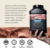 Picture of Maxi Nutrition Cyclone Powder - 1260g Chocolate