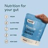 Picture of Nuzest Plant Protein Plus Microbiotics - 300g Rich Chocolate