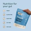 Picture of Nuzest Plant Protein Plus Microbiotics - 300g French Vanilla