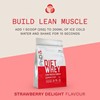 Picture of PhD Nutrition Diet Whey Protein - 1kg Strawberry Delight