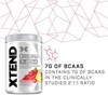 Picture of XTEND BCAA - 441g Raspberry Pineapple