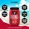 Picture of BSN Amino X - 1.01kg Fruit Punch