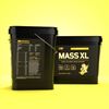 Picture of CNP Mass XL High Calorie Gainer - 4.8kg Banana