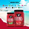 Picture of BSN Amino X - 1.01kg Watermelon