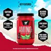 Picture of BSN Amino X - 435g Green Apple