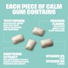 Picture of Blockhead - Calm Gum 12 x 7 Pieces Spearmint