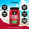 Picture of BSN Amino X - 1.01kg Green Apple