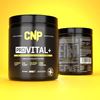 Picture of CNP - Pro Vital 30 Servings