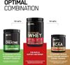 Picture of Optimum Nutrition Gold Standard 100% - Whey Protein 310g Double Rich Chocolate