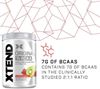 Picture of XTEND BCAA - 441g Strawberry Kiwi Splash