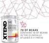 Picture of XTEND BCAA - 441g Knockout Fruit Punch