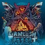 Birdflesh - Sickness In The North: Ltd. Ed.