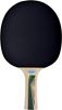 Picture of Donic-Schildkrot Table Tennis Bat - 400 Legends Control