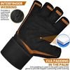 Picture of RDX Weight Lifting Gloves - L4 Open Finger (Size: L/Colour May Vary)