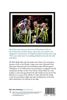 Picture of We Were Really There: The Rebirth Of - Manchester City David Bernstein Book