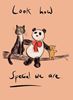 Picture of The Panda, The Cat & The Dreadful Teddy - A Parody Paul Magrs Book