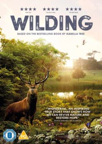 Wilding [2024] - David Allen