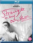 Pete Doherty: Stranger In My Own Skin - Pete Doherty