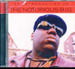 Notorious BIG - An Introduction To