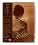 A Story Written With Water: Ltd Ed. - Mariko Okada