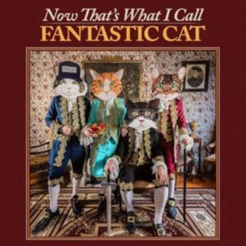 Fantastic Cat - Now Thats What I Call Fantast