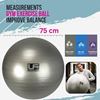 Picture of Urban Fitness Swiss Gym Ball & Pump - 500kg Burst Resistance: 75cm