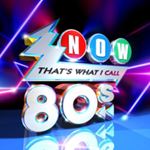 Various - Now That's What I Call The 80s