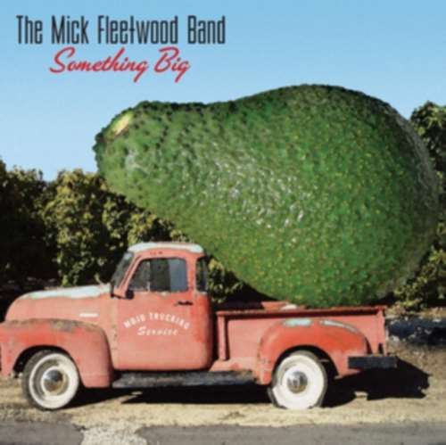 Mick Fleetwood Band - Something Big