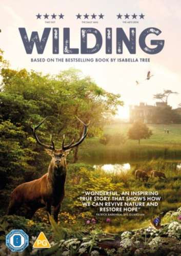 Wilding - David Allen