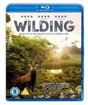 Wilding - David Allen