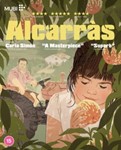 Alcarras - Jordi Pujol Dolcet